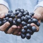 Dolor quo qui sint